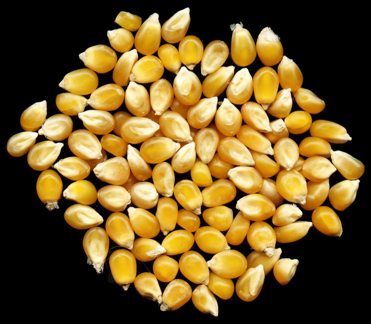 Mısır