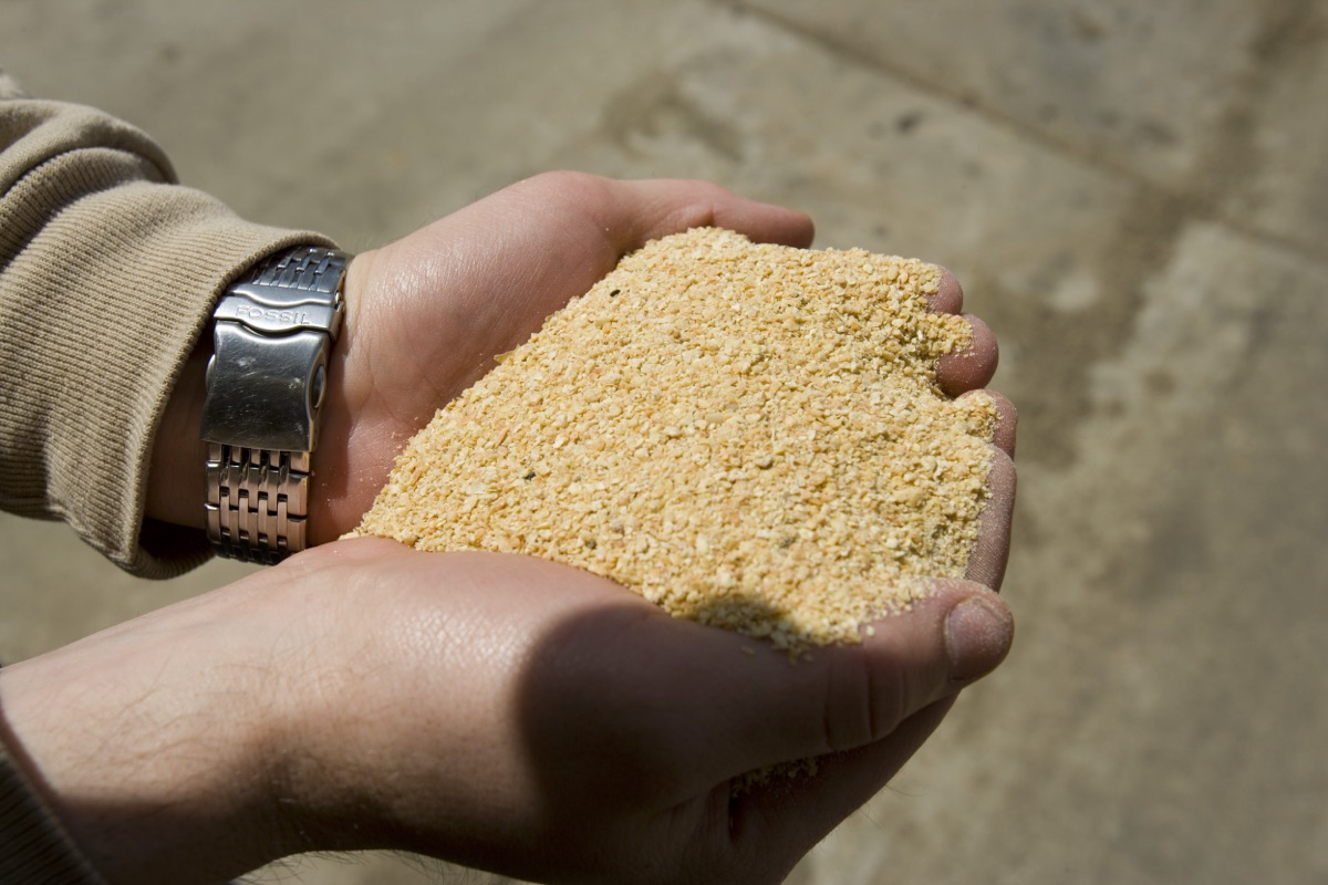 Soya Küspesi